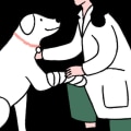 Insurance Coverage for Pre-Existing Conditions in Central Florida