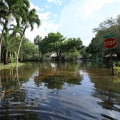 Insurance Companies in Central Florida: Coverage for Flood Damage